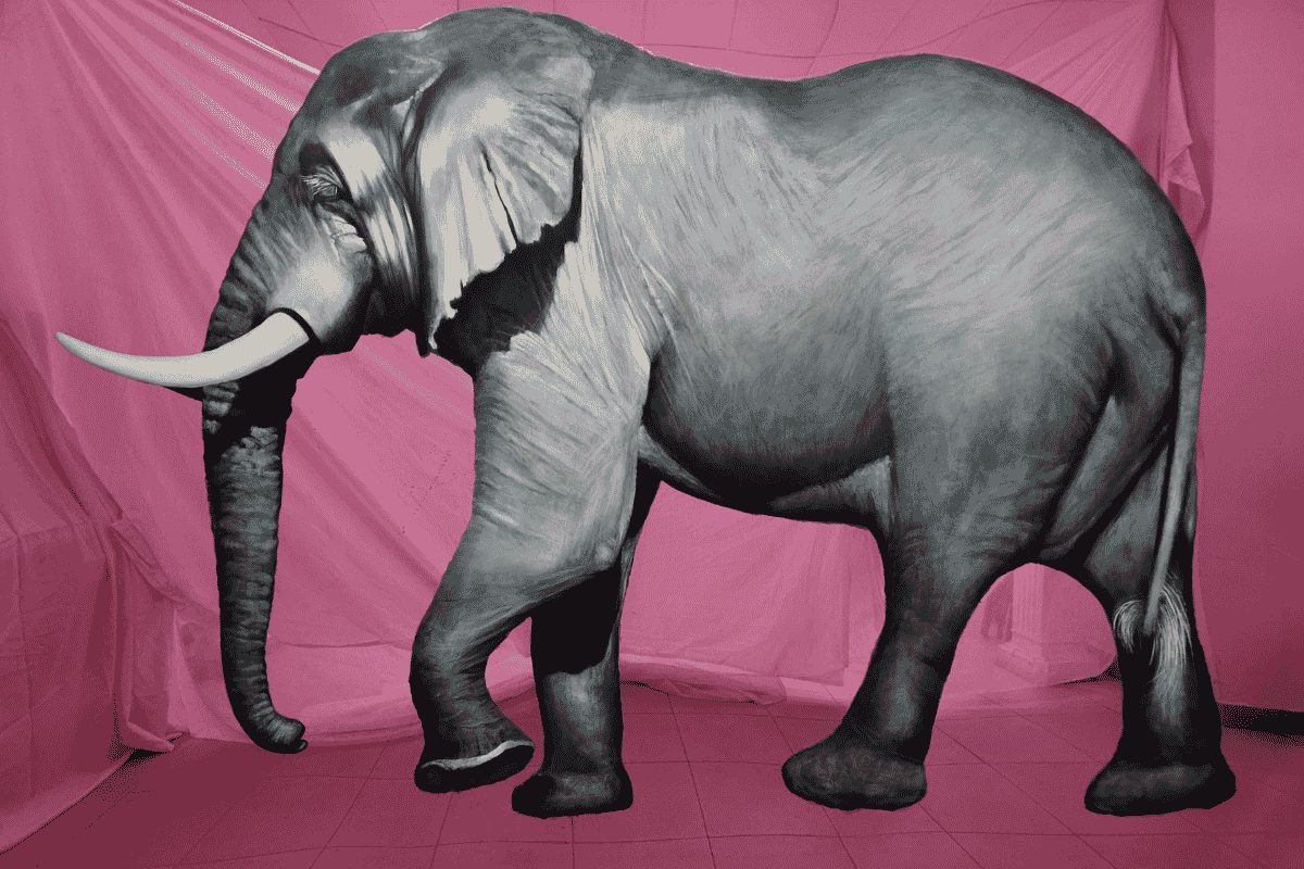 Elefante albino sobre un fondo rosa en la exposición de Isabel Gómez Liebre